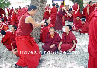 Lamas in the monastery